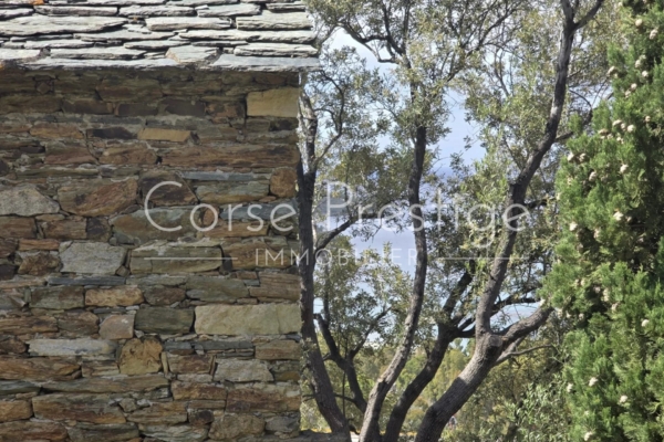Traditional Stone House for sale - Saint Florent - North Corsica - REF P42
