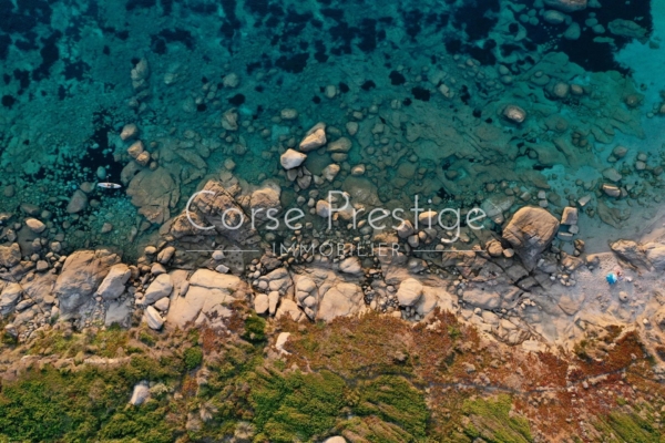 Villa à vendre - Corbara - Piscine - Vue Mer - REF P48