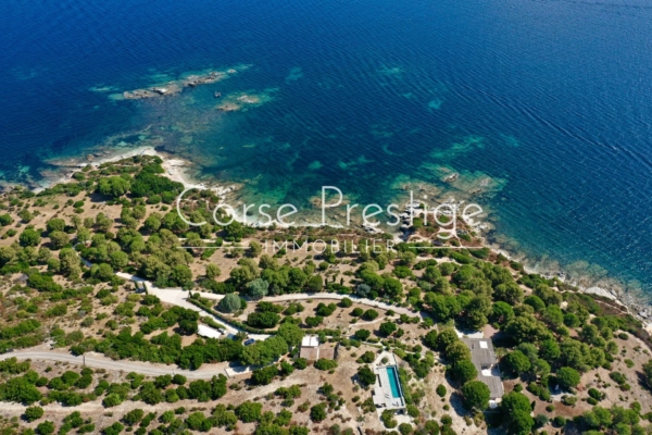 Propriete exceptionnelle - Pieds dans l