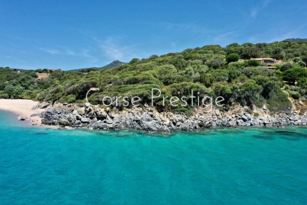 Propriété pieds dans l