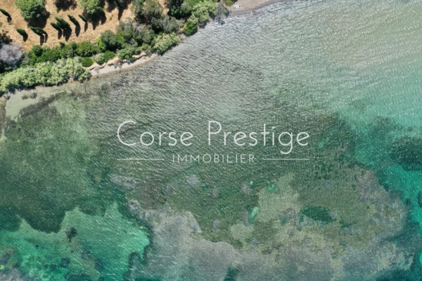 Propriete pieds dans l