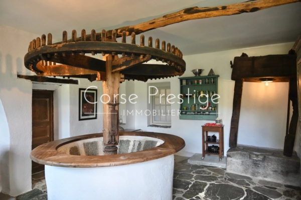Restored Historic Stone Mill in the Tranquil Countryside of Sant Florent - North Corsica - REF P78