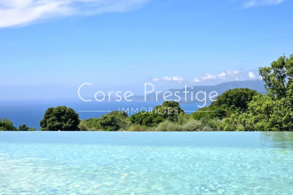 For Sale - Beautifully placed coastal home with olive grove and panoramic sea views – between Ajaccio and Sagone, South Corsica - REF P63