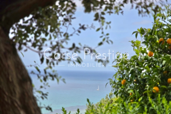 Villa with pool and sea-views - Saint Florent - North Corsica - REF P96