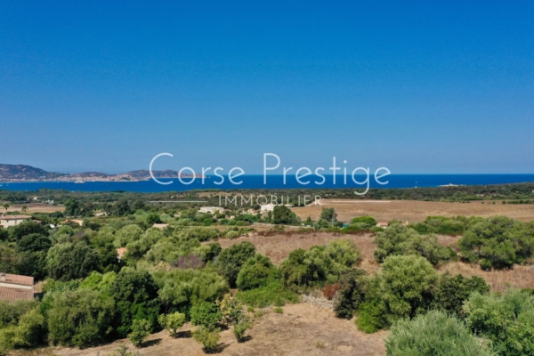 Building land for a house - Sea view - Lumio - Calvi - REF P84