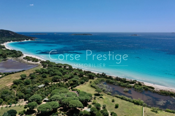 Villa à vendre à Palombaggia - Vue mer Panoramique - Porto-Vecchio - REF P38